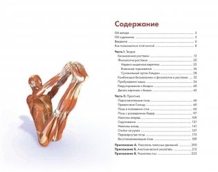 Ключевые позы йоги. Руководство по функциональной анатомии йоги фото книги 2