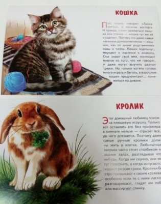 Обучающие карточки "Домашние любимцы" фото книги 3