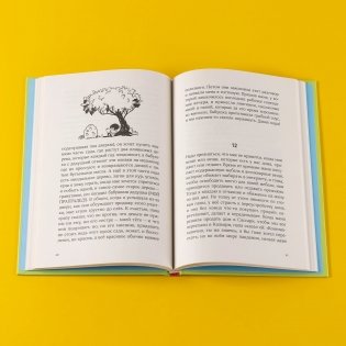 Синьор Колбаска : История о ёжиках, дедушках и бабушках и об изменении климата фото книги 5