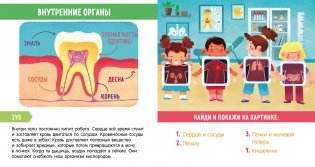 Найди и покажи, малыш. Моё тело фото книги 6