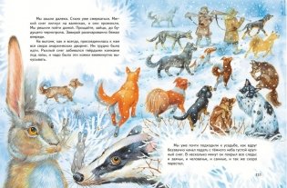 Усы, перья и хвосты. Рассказы русских писателей о животных (ил. М. Белоусовой) фото книги 6