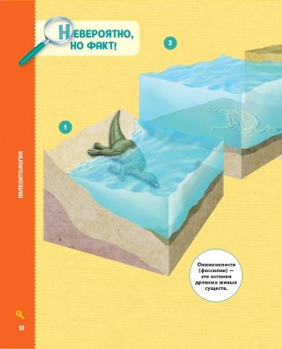 Динозавры фото книги 13