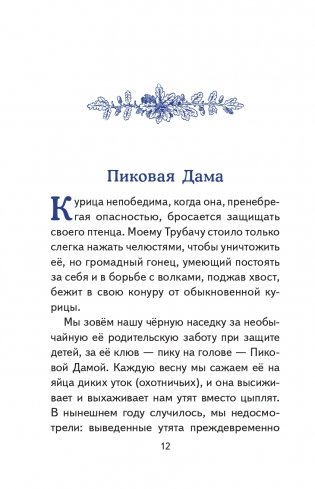 Рассказы о природе (ил. С. Ярового) фото книги 8