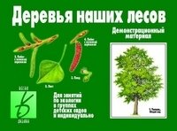 Игра "Деревья наших лесов" фото книги