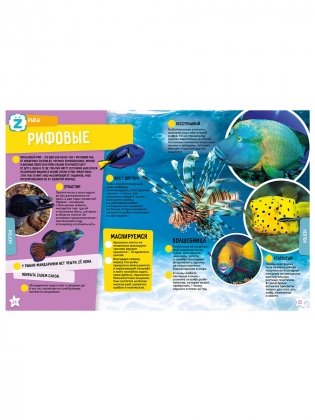 Океан. 250 невероятных фактов фото книги 3