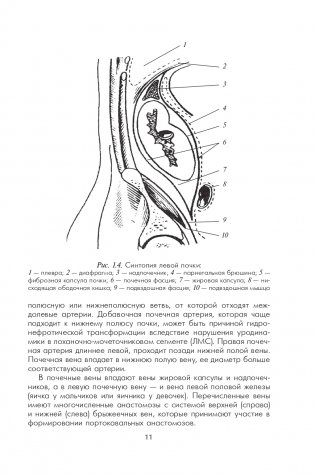 Урология детского возраста фото книги 12