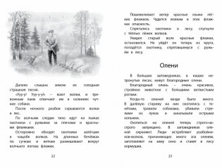 Год в лесу фото книги 4