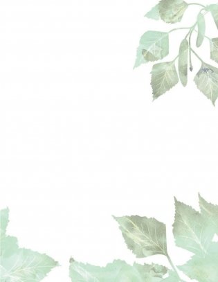 Мой первый гербарий. Цветы и листья фото книги 4