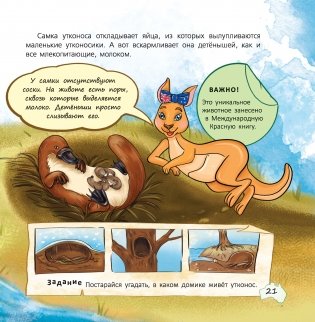 Страна наоборот. Австралия фото книги 3