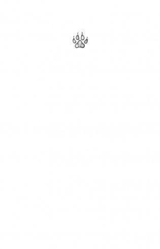 Секрет сфинкса фото книги 14