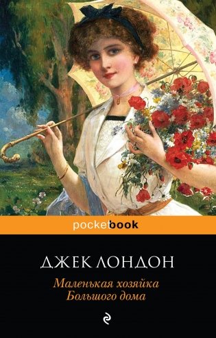 Маленькая хозяйка Большого дома фото книги