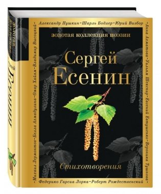Стихотворения фото книги