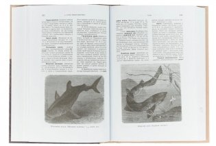 Жизнь животных (количество томов: 3) фото книги 5