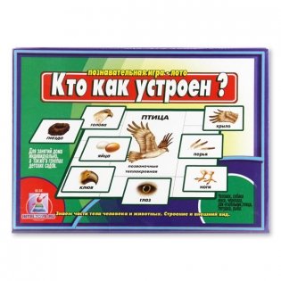 Игра "Кто как устроен?" фото книги