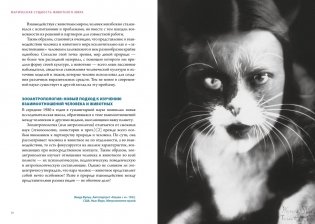 Магия трав и волшебный бестиарий. Сборный комплект из 2-х книг с шоппером фото книги 6