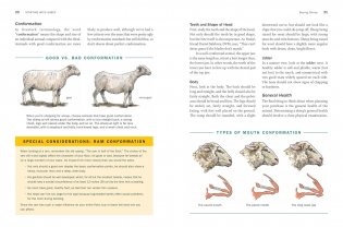 Storey's Guide to Raising Sheep, 5th Edition: Breeding, Care, Facilities фото книги 4