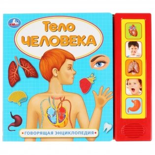 Тело человека фото книги