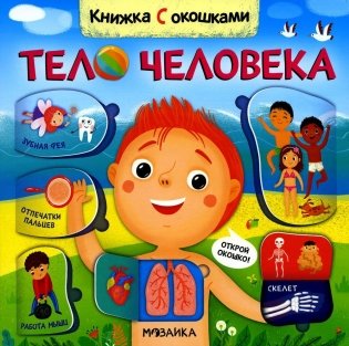 Тело человека. Книжка с окошками фото книги