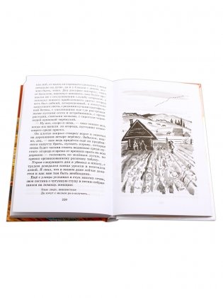 Конь с розовой гривой: Рассказы фото книги 6