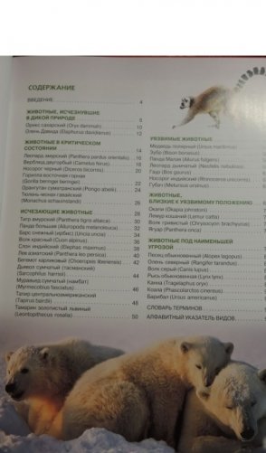 Красная книга мира фото книги 6