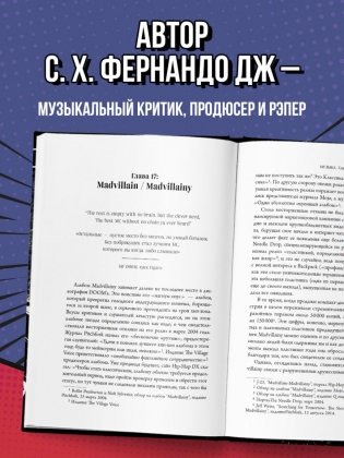 Хроники MF DOOM: Подлинная история главного анонима рэп-сцены фото книги 7