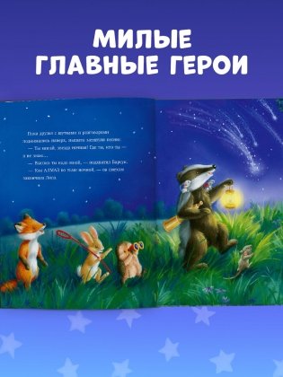 Самая звёздная ночь фото книги 5