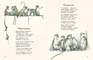 Про обезьян фото книги 6