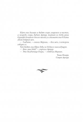 Ведьмак. Владычица Озера фото книги 7