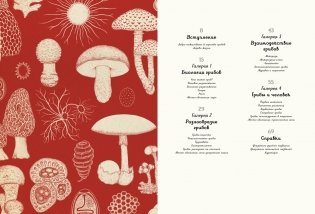 Грибы фото книги 2