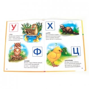 Владимир Степанов Азбука, счет и стихи фото книги 2