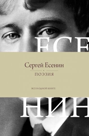 Поэзия. Все в одной книге фото книги