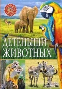 Детеныши животных фото книги