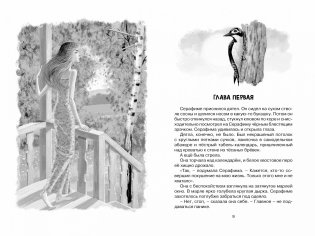 Оруженосец Кашка фото книги 2