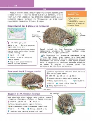 Большой определитель птиц, зверей, насекомых и растений России фото книги 5