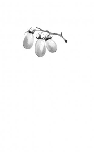 50 полезных пищевых привычек фото книги 2