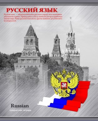 Тетрадь "Яркий акцент. Русский язык", А5, 48 листов, линия фото книги