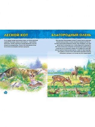 Животные мира. Первая энциклопедия дошкольника фото книги 7