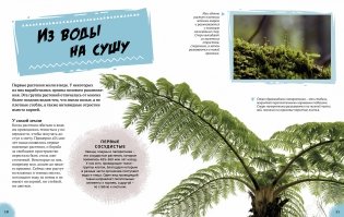 Эра динозавров. Жизнь в доисторические времена фото книги 3