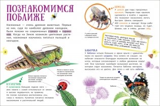 Животные. Гигантская энциклопедия для самых маленьких фото книги 2