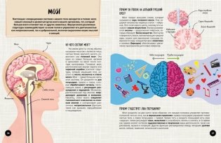 Что? Как? Почему? Мои первые знания про ТЕЛО ЧЕЛОВЕКА (с постером) фото книги 8