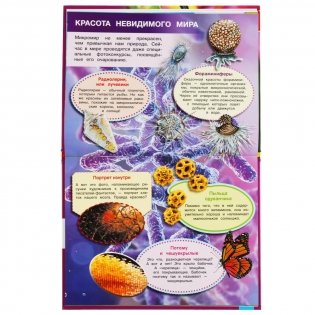 Энциклопедия с развивающими заданиями "Мир под микроскопом", 48 страниц фото книги 3