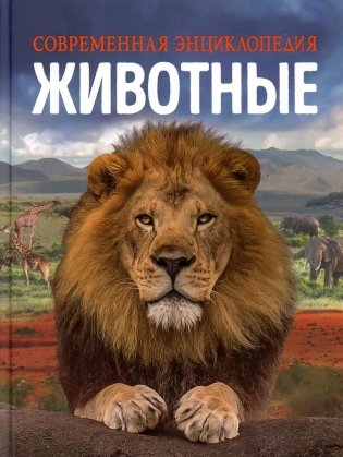 Животные. Современная энциклопедия фото книги