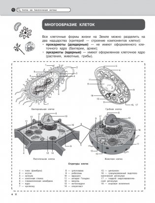 Биология фото книги 11