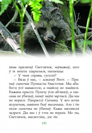 Дзе Нёман гамоніць з пушчай... фото книги 6