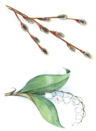 Игра-лото "Четыре сезона. Весна" фото книги 4