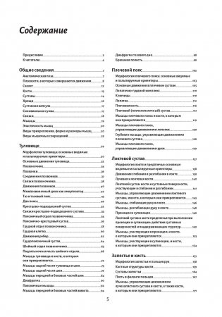 Анатомия движения: человеческое тело фото книги 2