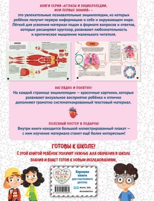 Что? Как? Почему? Мои первые знания про ТЕЛО ЧЕЛОВЕКА (с постером) фото книги 2
