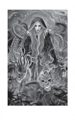 Крылья феникса фото книги 3