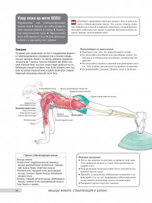 Анатомия фитнеса и силовых упражнений для женщин фото книги 7