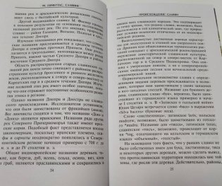 Славяне. Сыны Перуна фото книги 6